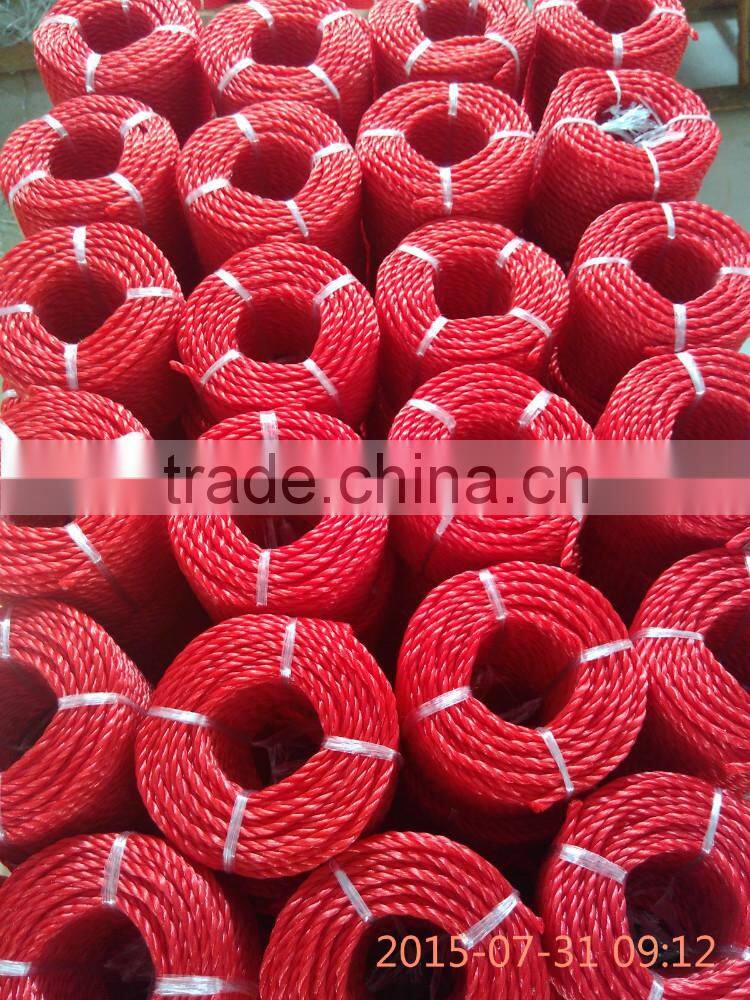 6mm Twisted Cord/Rope Manufacturer from Taian, China