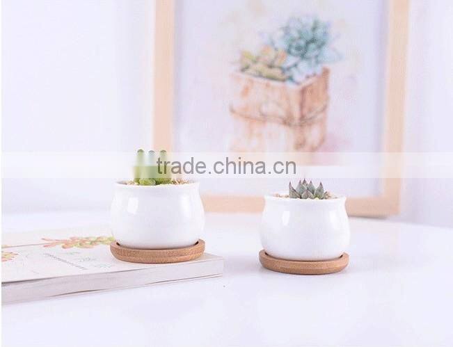 New design ship shape colorful ceramic flower pots for livingroom
