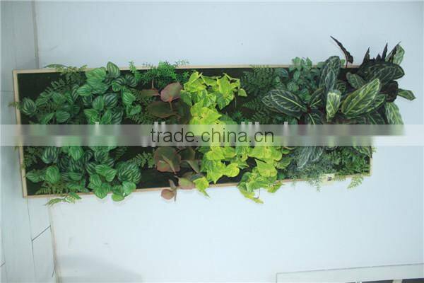 fake green wall/artificial green wall vertical plant wall