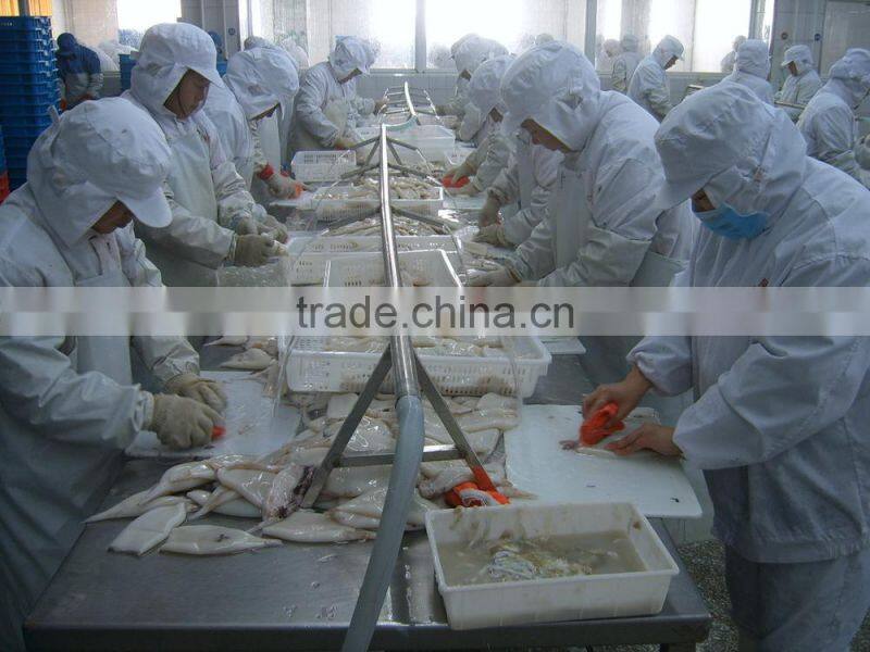 High quality Pacific squid tube (Todarodes Pacificus)