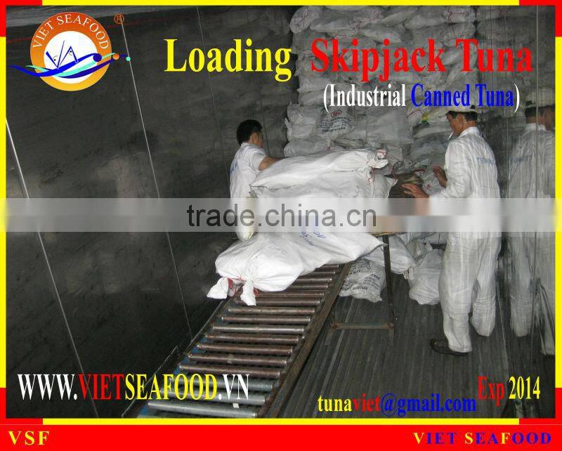 LOADING SKIPJACK TUNA
