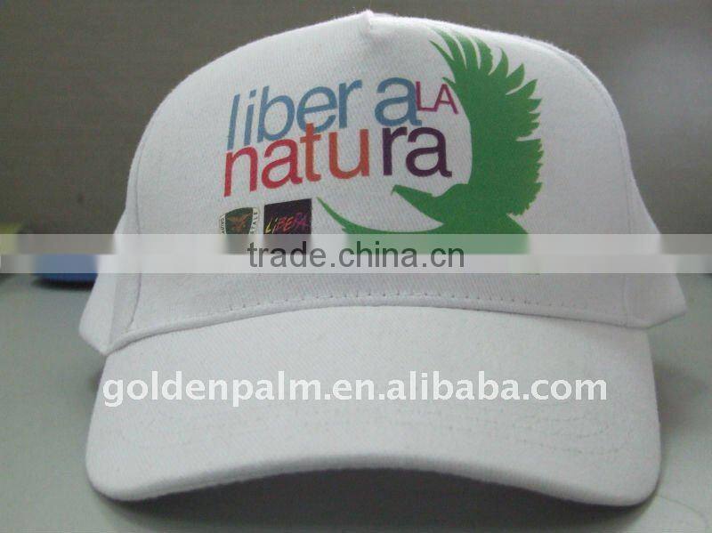 Promotiona Baseball Cap