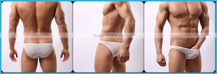 Without Logo Hot Sexi Photo Image Of Transparent Mesh Underwear Briefs Custom SC14