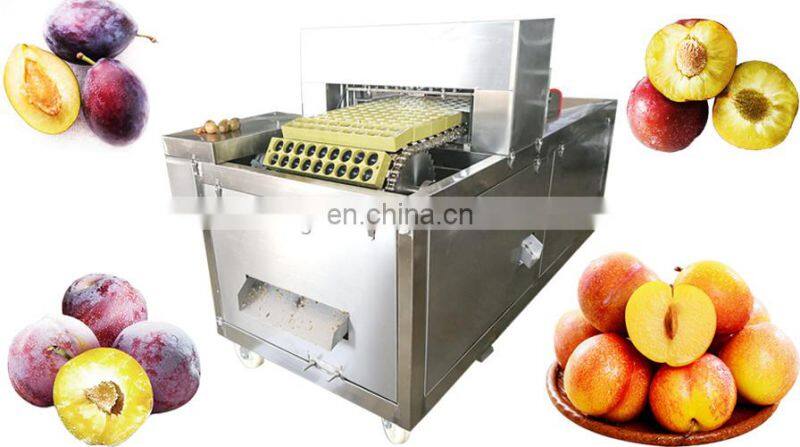 Professional Plum Apricot Dates Olive Pitting Stoner Machine food grade stainless steel