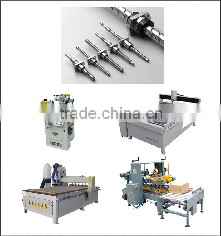 Precision 8mm Miniature Ball Screw