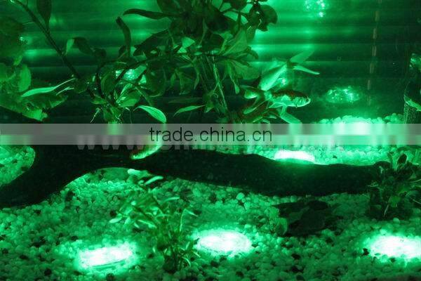 2013 Dimmable Aquarium Led Lighting Provide by Factory