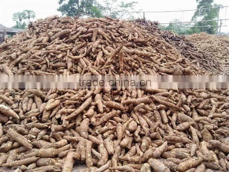 TAPIOCA STARCH WITH THE BEST PRICE VIETNAM