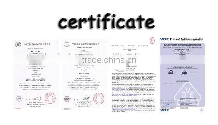 Less Noise Long Lifetime Small Oven Motor