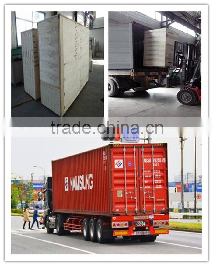 Pasta processing line, macaroni processing line, pasta machine line