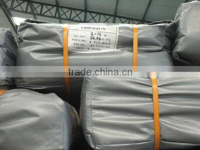 Double Silver Poly Tarp Waterproof Plastic Tarps Direct Sheet Manufacturer Truck Tarpaulin Covers