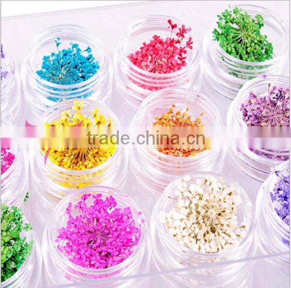 12 colors jar nail dry flower set,big nail art dry flower
