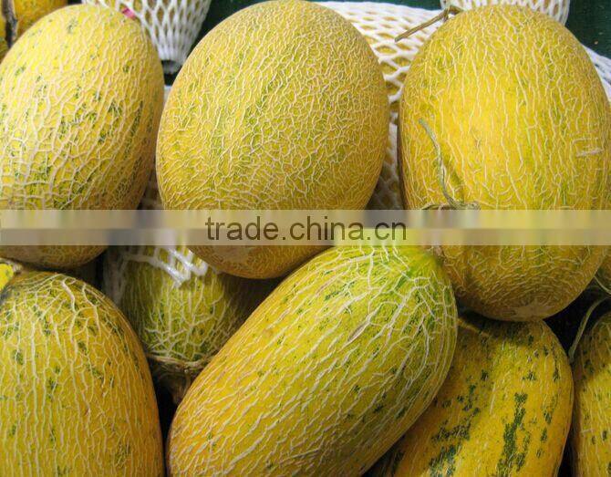 120pcs/h stainless steel taro pumpkin peeler equipment for sale