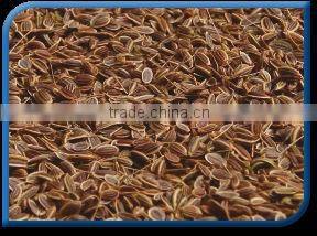 Dill Seed