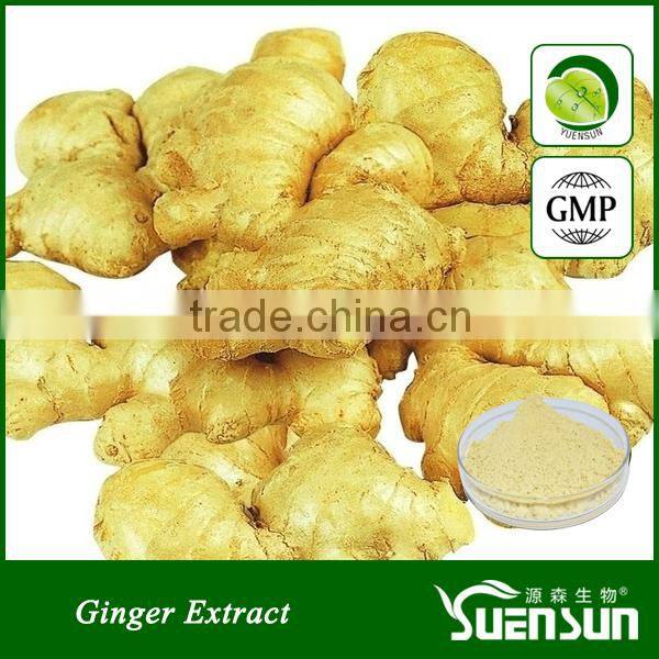 Pharmaceutical & healthcare grade dried ginger powder price