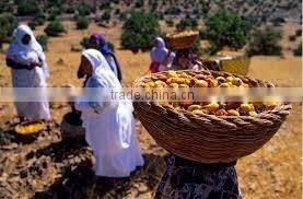 Pure Argan Oil 100 ml