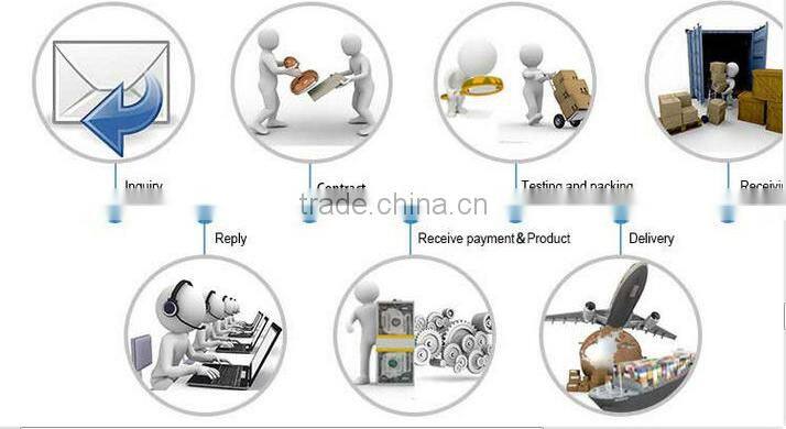 LS VISION High Speed Dome 1080P IP Camera , 1080P HD IP LED-Array IR Security Camera