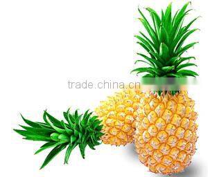 Pineapple Extract Bromelain Powder