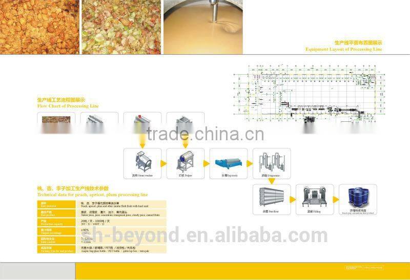 Complete Apricot Fruit Processing Line