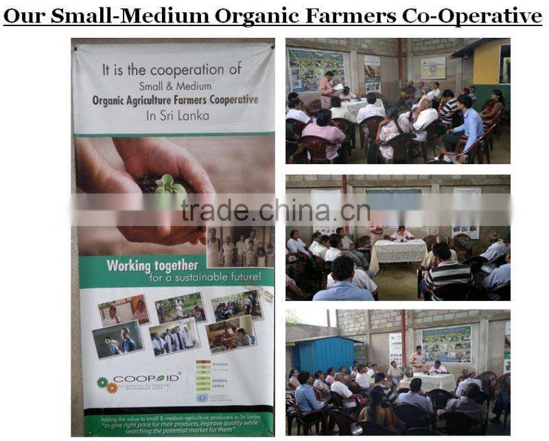 Organic Mango Fruit Bar