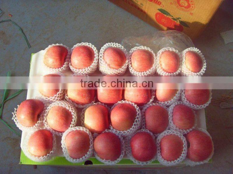 Fuji Apple/Fresh Apples/70MM, 75MM, 80MM,85MM UP