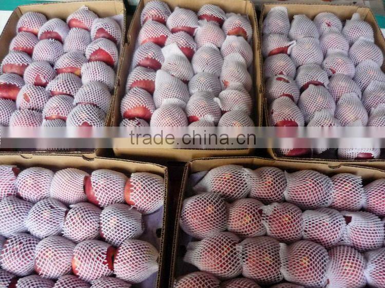 80% and up red colour huaniu apples