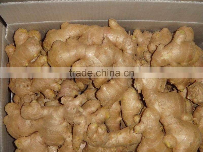 Fresh air dried ginger