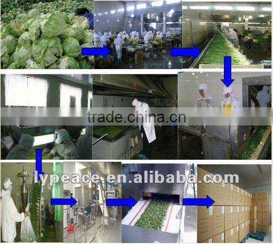 5x5mm aloe vera cubes