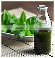 100% Natural & Pure Basil Oil / India's No. 1 Basil Oil / Basil Essential Oil