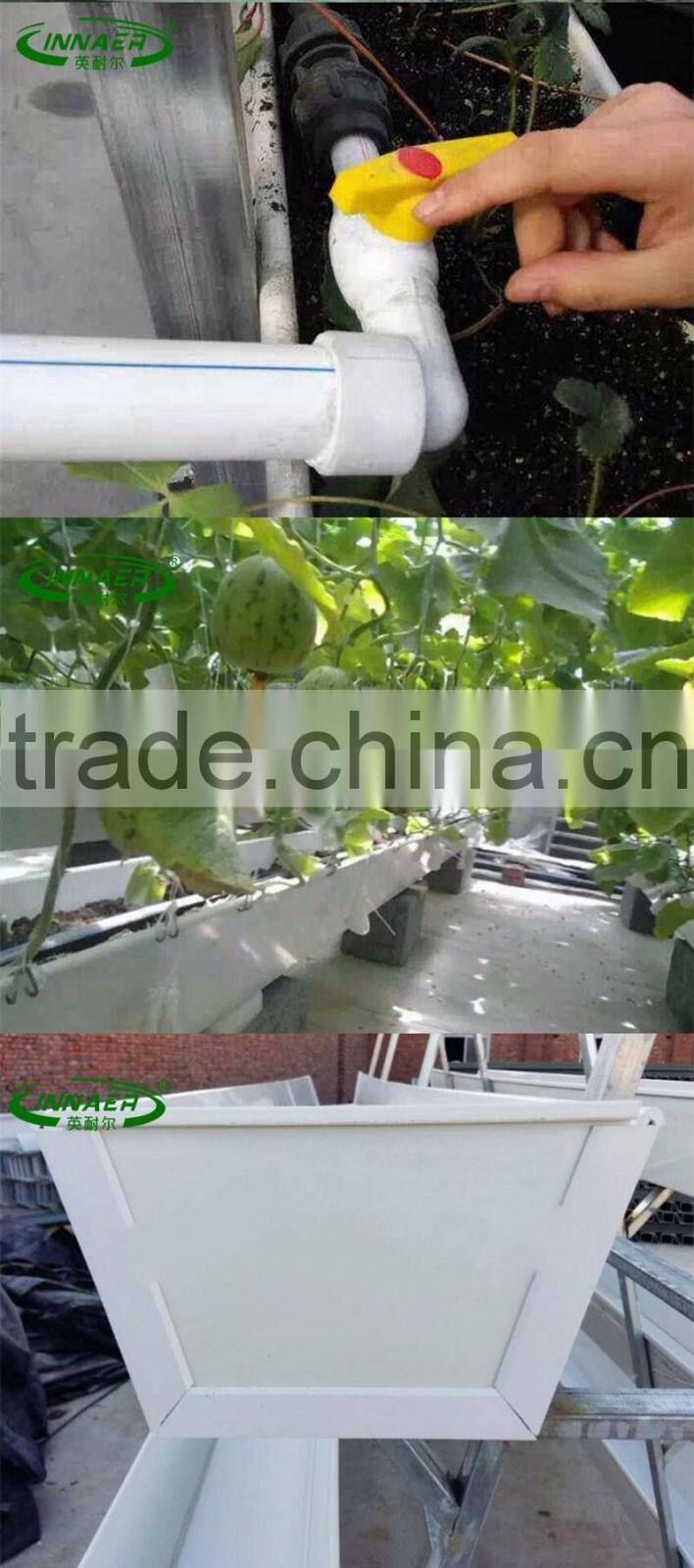 Professional factory manufacturing cucumber plant slot for farm