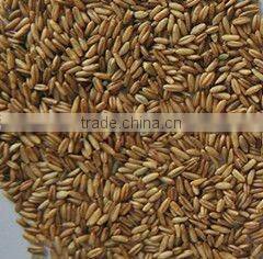 Intelligent multifunction wheat/Seed/Grain color sorter, more stable and more suitable