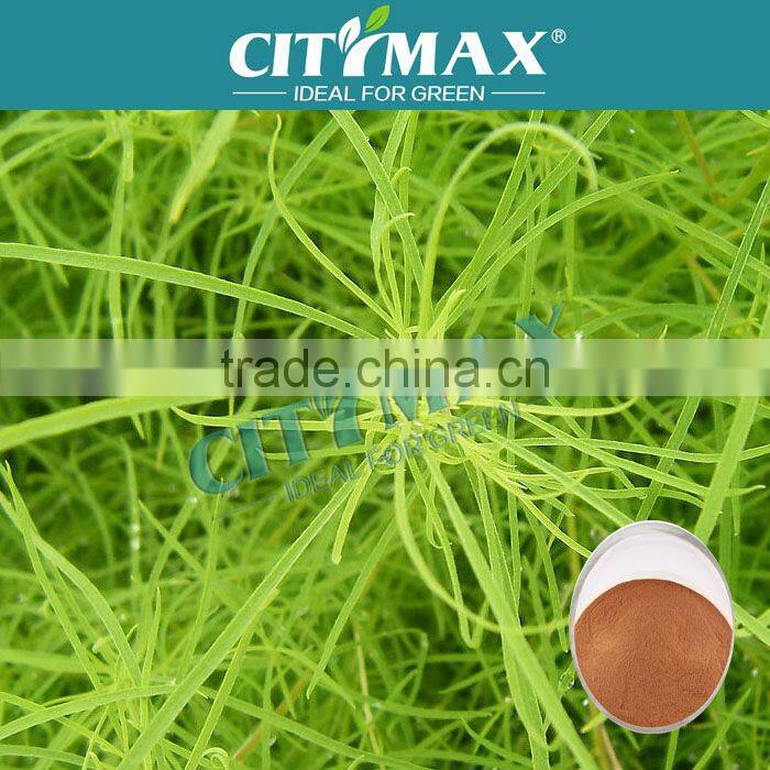 High content Fulvic acid fertilizer from leonardite