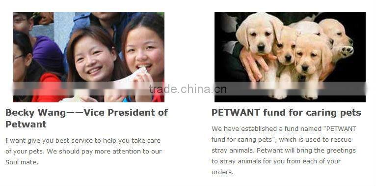 Ebay top 10 automatic pet water fountain