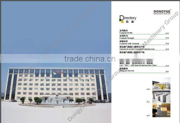 germany technical dongyue brand autoclave aerated concrete blocks production line