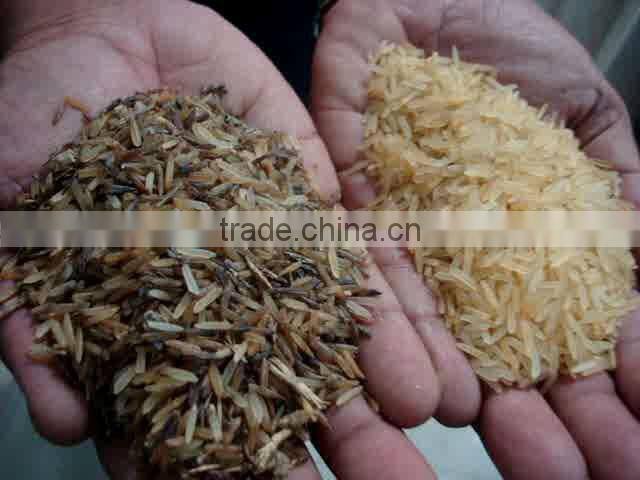 CCD Big Chute High Speed Wheat Color Sorter machine