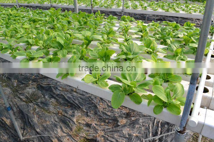 PVC Hydroponics square tube Industrial Hydroponic System