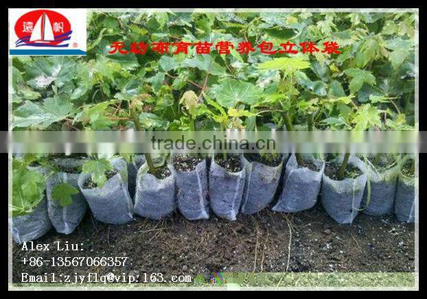 100% PP spunbond non-woven fabric used for non woven Seedling bag