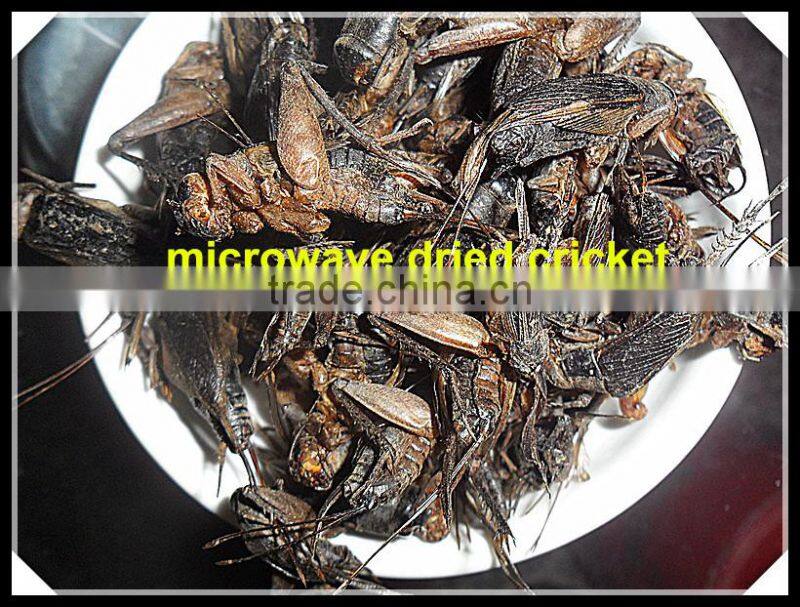 2 cm Freeze-Dried Crickets for Fish & Bird