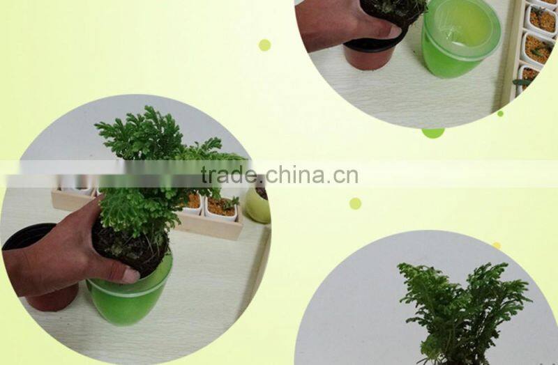 cheap colorful self watering flower pot