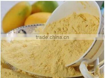 Hot sales Instant flavored fruits drinks powder
