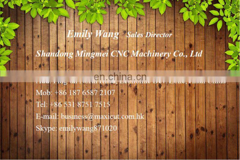 1325 Cabinet Furniture And MDF Doors Making Machine