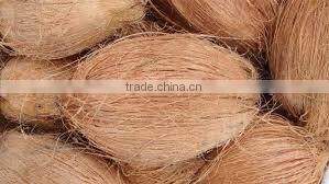 Fresh trimmed/undrimmed coconut