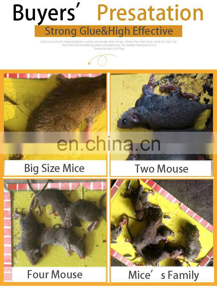 Household pest control sticky cardboard glue board trap for rats mouse