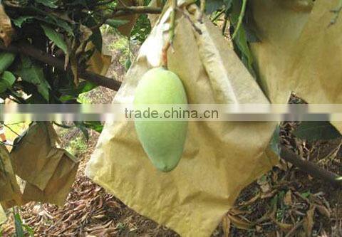 Breathable mango protection bags/mango protection cover