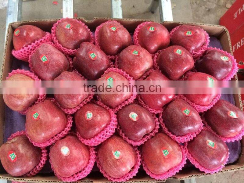 Nice fuji apple from China on sale for Bangladesh market