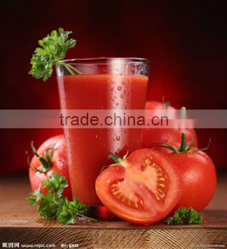 stainless steel mango beate/Favorites Compare Automatic double channel fruit beating machine