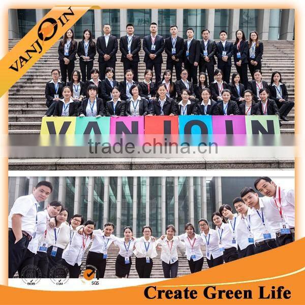 Home Decoration Custom Painting Mason Jar Glass Vase Wholesale