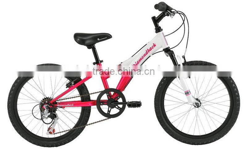 2015 mtb bike/ mountain bicycle/mountain bike (PW4-M20102)