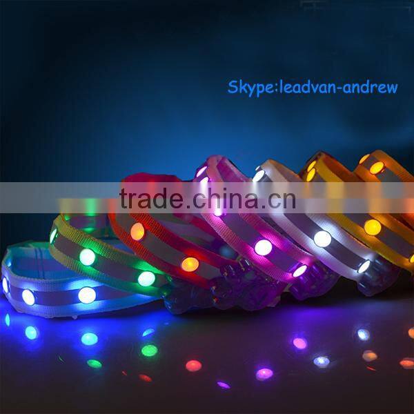 light up you and your pet dog evening dog collar with led lights