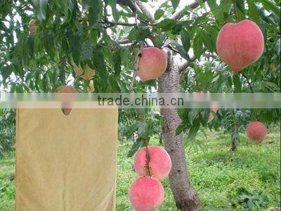 Fruit Cultivation Paper Bag
