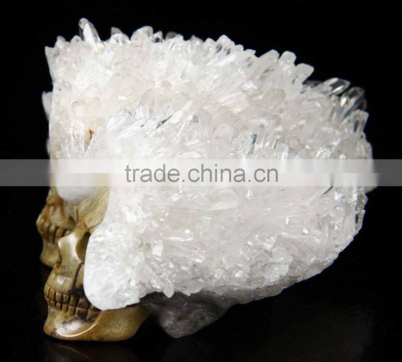 Western New design crystal Skull model for sale